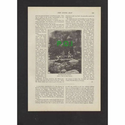 William Black Paston House Brighton Novelist -  1896 Article