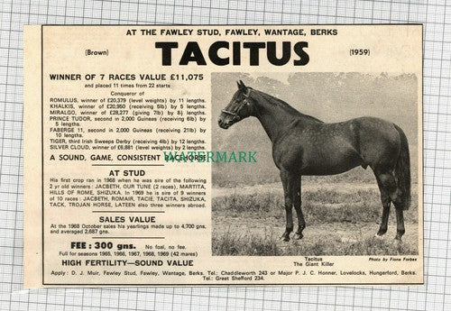C2217) Race Horse TACITUS Fawley Stud Advert - c.1969 Clip