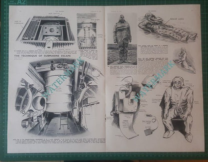 Submarine Chief Petty Officer Watson HMS Dolphin Laurence Dunn - 1950 Article