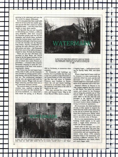 Essex Watermills Paul Tritton Blue Mills Hylands  - 1987 Article