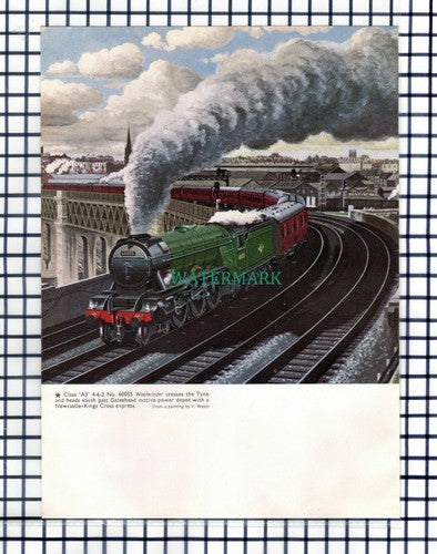 Class A3 4-6-2 No 60055 WOOLWINDER Railway Locomotive Gateshead - 1961 Print