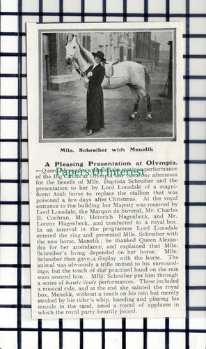 C6033) Mlle Baptista Schreiber With Horse Menelik - 1914 Cutting