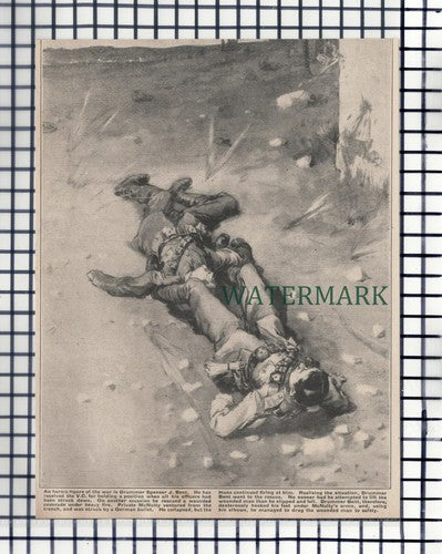 (142) Drummer Spenser J Bent Rescues Private McNulty World War One  1915 Cutting