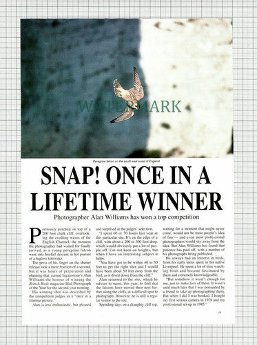 (6898) Alan Williams Photographer  - 1994 Article