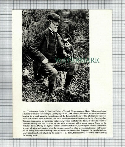 (6634) Major C Hawkins Fisher Stroud Gloucestershire   - Cutting
