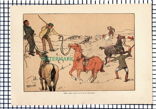 X1649) Horse Riding Fox Hunting   OE Somerville - 1902 Antique Print
