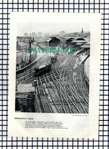Newcastle Railway Station Pacific No  60036 Colombo 60084 Trigo - 1964 Cutting