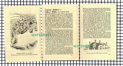 Gilbert White Author Selborne Hampshire  - 1955 Small Article / Print