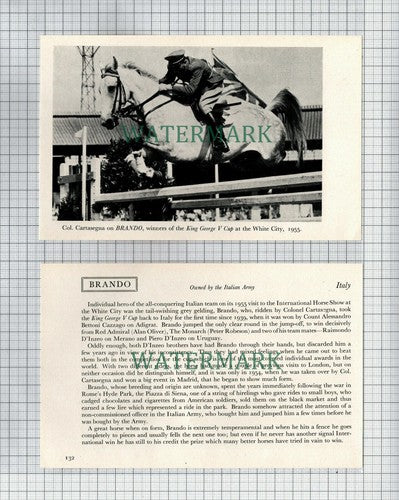 Col CARTASEGNA Horse Brando Italy - 1956 2-Part Cutting