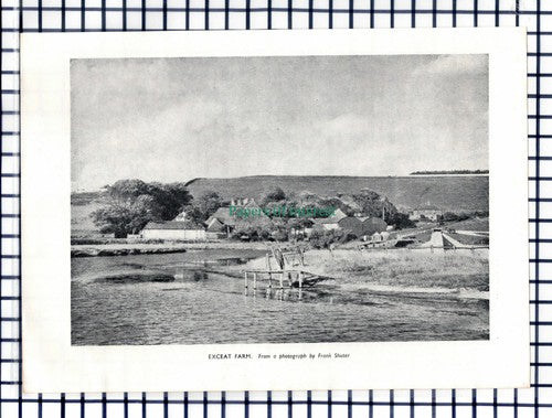 (6768) Exceat Farm Sussex  - 1951 Cutting