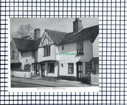 White Colne Essex  Houses - 1962 Cutting / Print