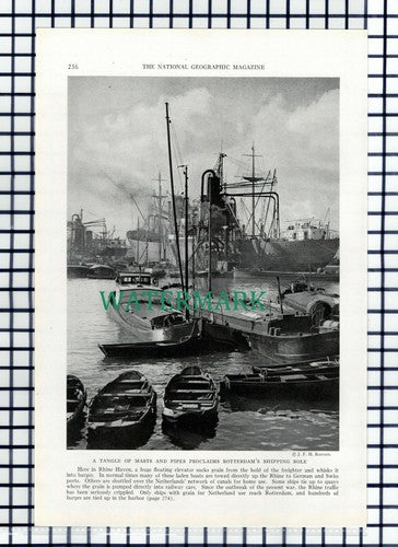 (8053) Rotterdam Rhine Haven  - 1940 Book Print