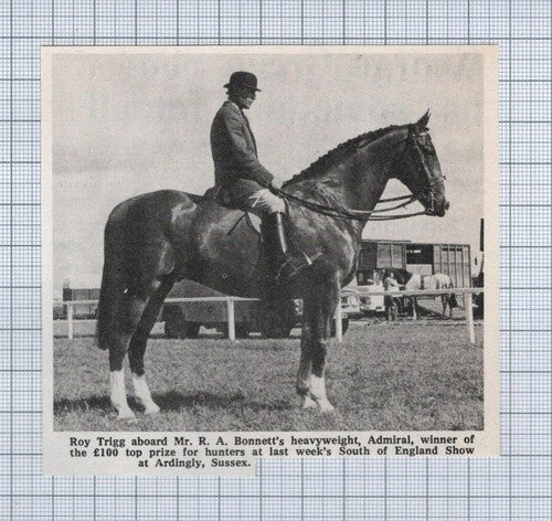 (5494) Roy Trigg On Admiral Mr R A Bonnett Horse Show Ardingly - 1972 Clip
