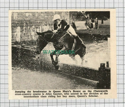 C2378) Alice Gayner on Horse Queen's Scholar Chatsworth Cross Country 1968 Clip