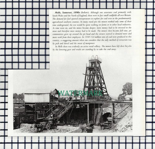 (7868) Mells Somerset Coal Mine - 1980s Cutting