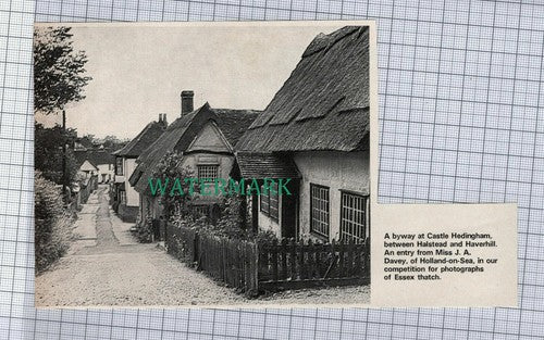 (C512)  Castle Hedingham Byway Essex Miss J A Davey Holland on Sea  1972 Cutting