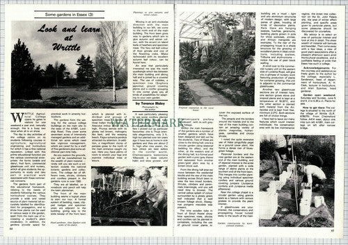 Writtle Agricultural College Essex Alan Sparkes - 1982 Article / Print