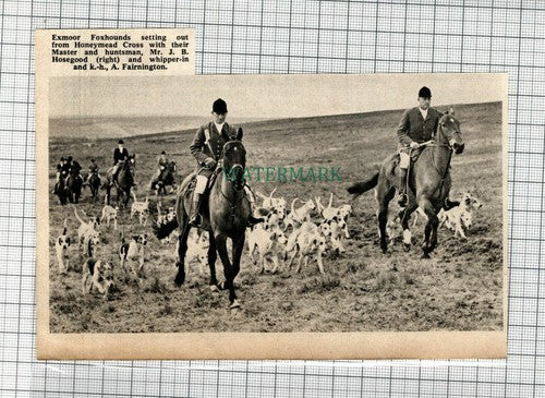(C169) Exmoor Foxhounds Honeymead Cross J B Hosegood Fairnington  - 1969 Clip