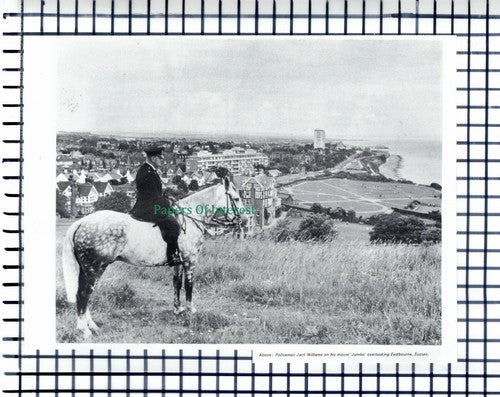(6800) Policeman Jack Williams On Horse Jumbo Eastbourne Sussex - 1971 Cutting
