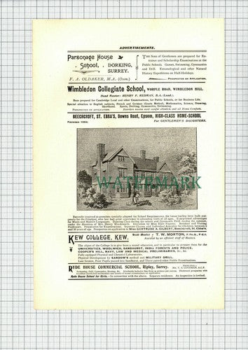 C7590) Beechcroft St Ebba's Epsom Home School Gertrude Gilbert  - 1901 Cutting