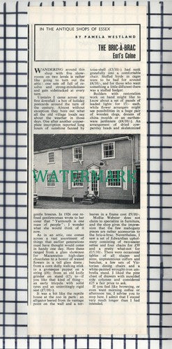 Mollie Webster The Bric A Brac Earl's Colne Essex  - 1969 Cutting