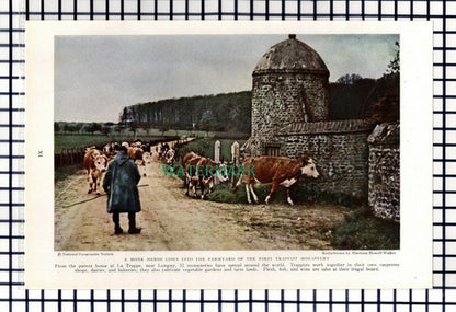 (8042) La Trappe Longny Trappist Monastery / Corancy France  - 1940 Book Print