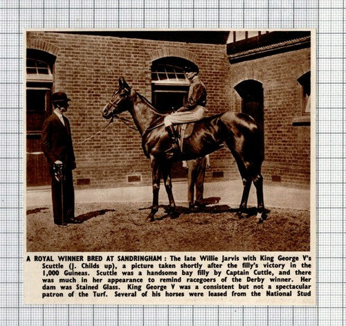 Willie Jarvis Scuttle J Childs  Horse Racing SCUTTLE -  1950 Small News Cutting