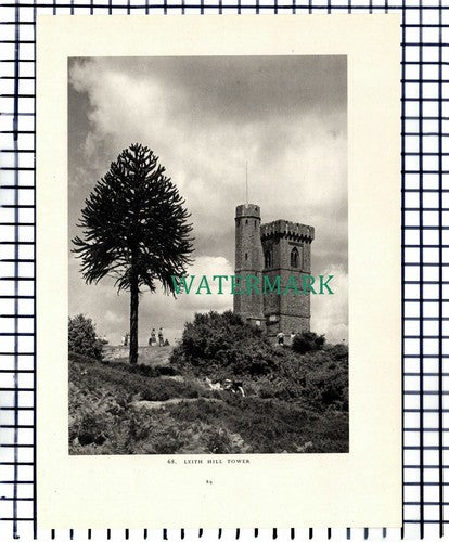 (7452) Leith Hill Tower / Coldharbour Surrey - 1949 Print / Cutting