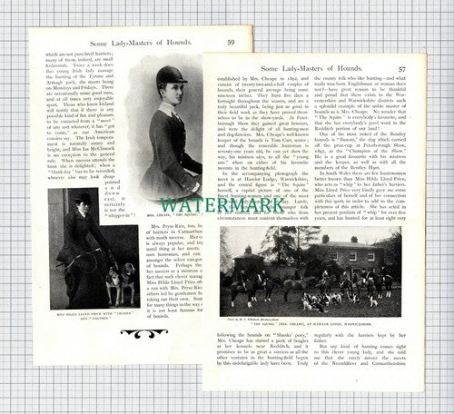 (6720) Hunting Duchess of Newcastle Clumber Hilda Lloyd Price Haselor c .1900