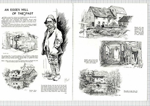 Boxted Mill Colchester Essex  Ben Munson - 1960's Article / Print