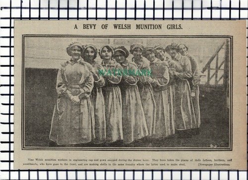C7175) Welsh Munition Workers World War One  - 1916 Cutting