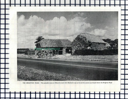 (6953)  Albourne Sussex - 1955 Cutting