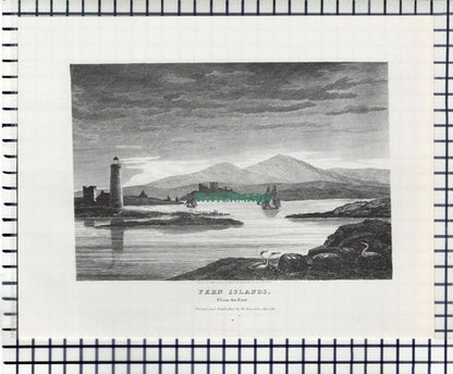 Fern Farne  Islands  / Bamborough Bamburgh Castle - c.1960s Print / Cutting