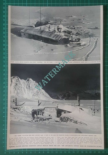 (X444) Stonington Island Marguerite Bay Graham Land Scientists Marooned -  1949