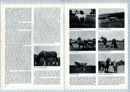 (6232) Raymond Anderton Cart Horse Memories Chaplins - 1968 Article