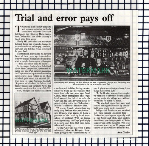 (8340) Bridget Barrie Day Cock & Bell Inn High Easter Essex  - 1988 Cutting