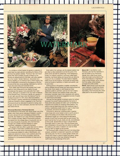 X1523) Priorwood Garden Bettina Lady Thomson   - 1986 Article