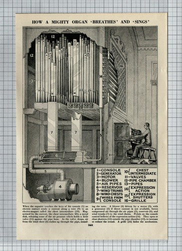How An Organ Works - c.1950s Book Print