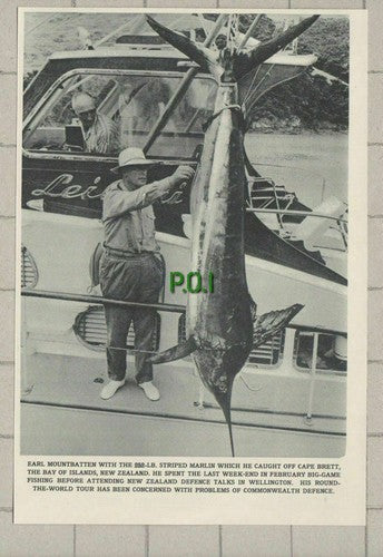 (5166) Earl Mountbatten With Striped Marlin Fish Cape Brett New Zealand  1961