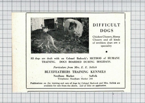 Bluefeathers Training Sellick Needham Market Suffolk  - 1951 Small Advert