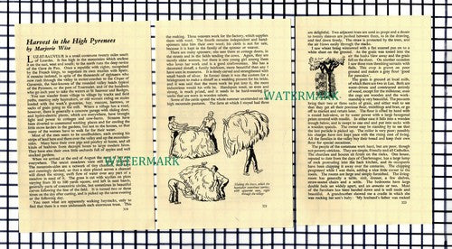 Marjorie Wise Luz-St-Sauveur France -   1951 Small Article