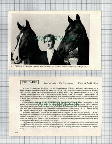 Georgina Peerman Horse VOLTAIRE HOBOE South Africa - 1956 2-Part Cutting