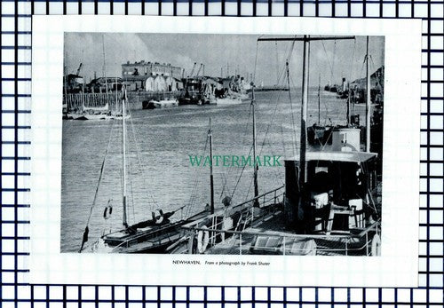 (8102) Newhaven Sussex - 1954 Cutting