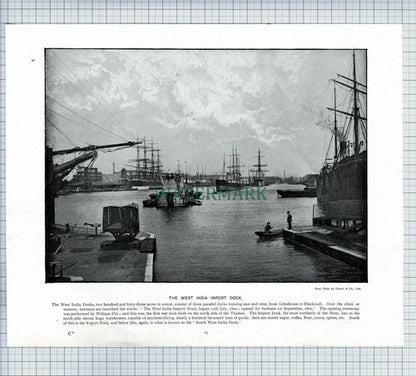 X1902) West India Import Dock / London Fire Brigade Southwark c.1900 Book Print