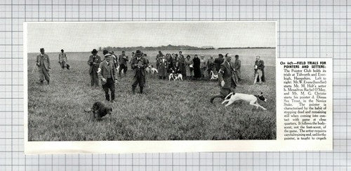 The Pointer Club Hampshire Mr W Evans Mr MG Christie Mr M Holt -   1950 Cutting
