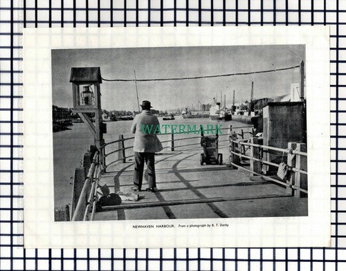 (8031) Newhaven Harbour Sussex - 1955 Cutting