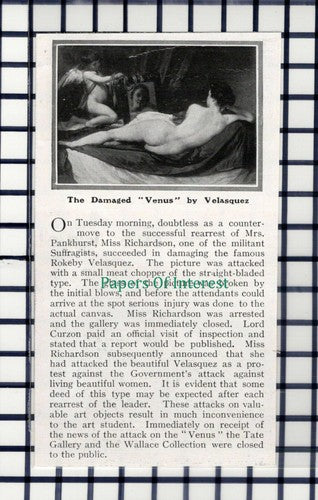 C6065) Suffragists Damage Venus Painting Velasquez Miss Richardson  1914 Cutting