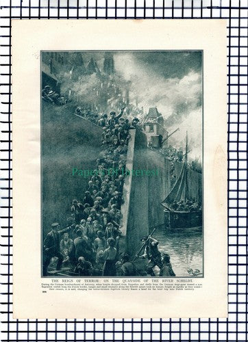 X1359) Siege Of Antwerp River Scheldt Quayside World War One  c.1918 Book Print