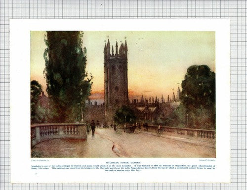 Magdalen Tower Oxford    G F Nicholls  -  c.1930s  Print