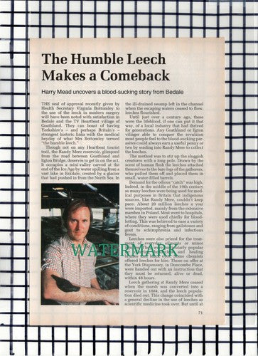 C6044) Bedale Leech House  - 1990s Article